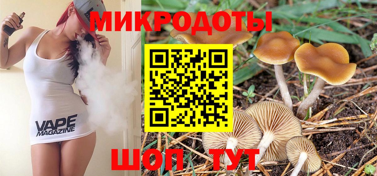 Псилоцибиновые грибы Psilocybine cubensis Апшеронск
