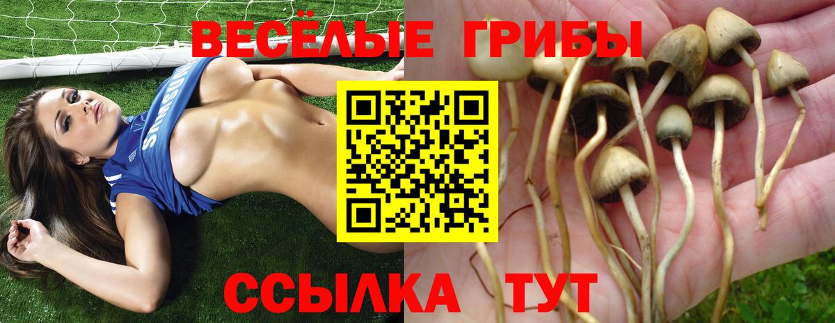 Апшеронск  Галлюциногенные грибы Cubensis  Вход с VPN  Галлюциногенные грибы мухоморы 